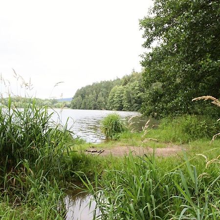 Ubytovani Zdarske Vrchy Světnov Exterior foto